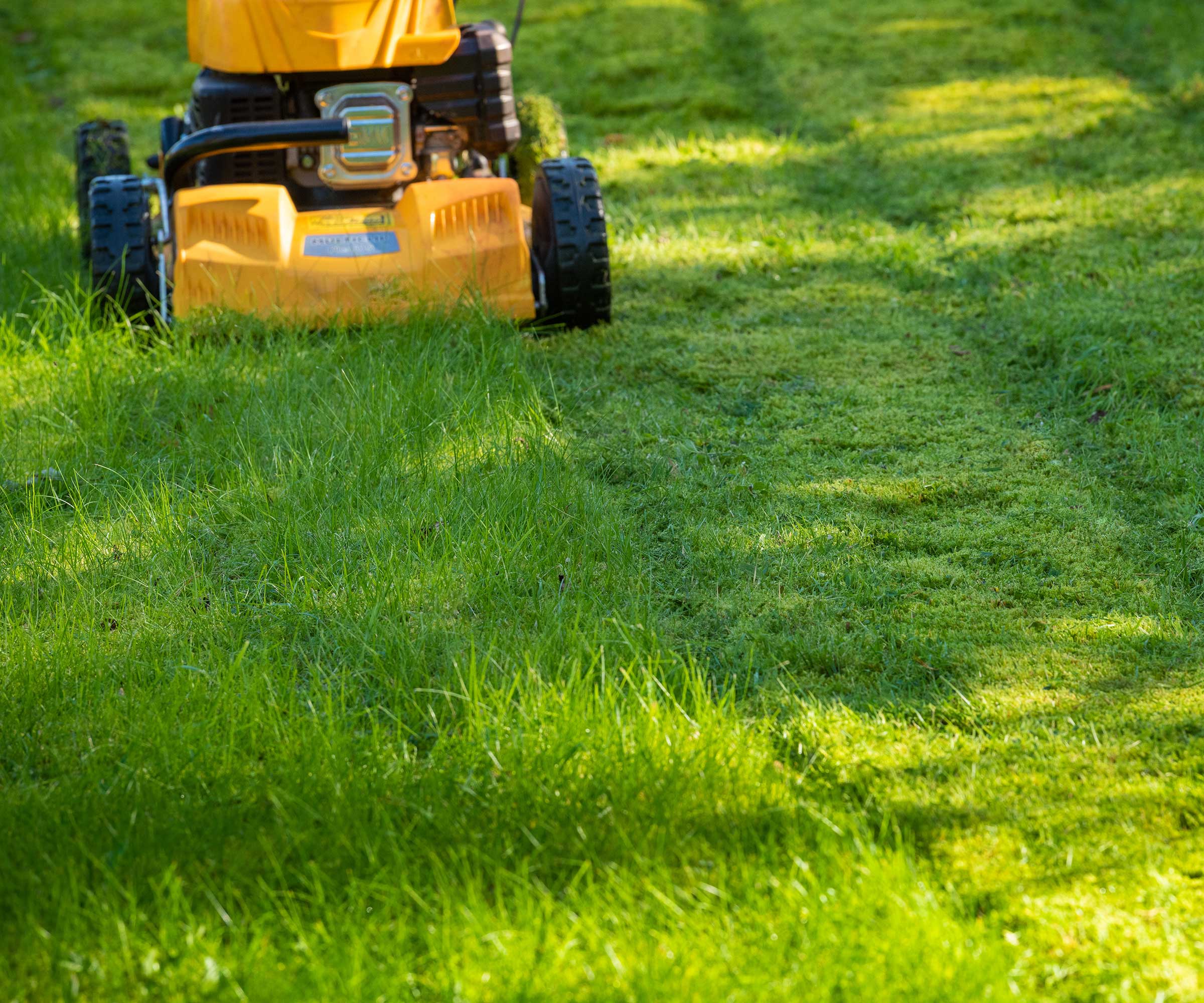 mowing lawn