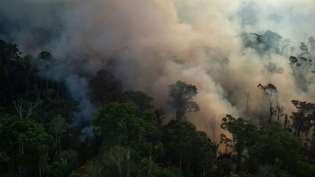 Aerial view showing smoke rising from an illegal fire at the Amazonia rainforest in Labrea, Amazonas state, Brazil, on September 15, 2021. 