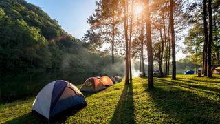 A campsite at sunrise with the sun shining through the pine trees