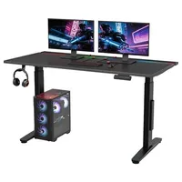 FlexiSpot  Electric RGB Gaming Standing Desk