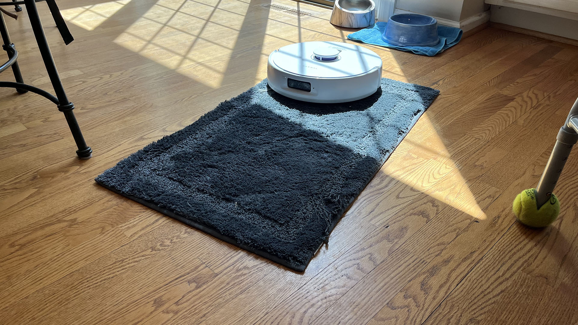 Narwal Freo X Plus robot vacuum and mop in reviewer's home