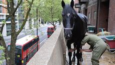 TO-USEHCR_AAA_PN17_26595_81413991_177782382.jpeg