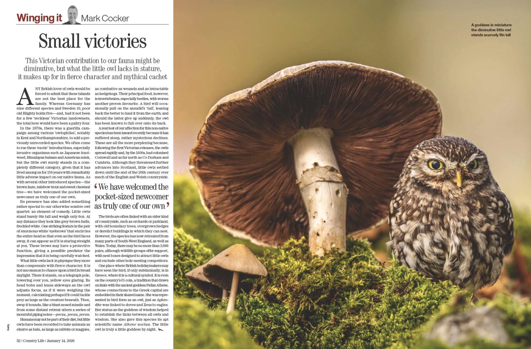 Spreads from Country Life 14 January 2026