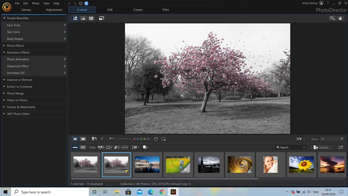 Best Photo Organizing Software | Top Ten Reviews