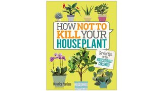 Houseplant guidebook for beginners