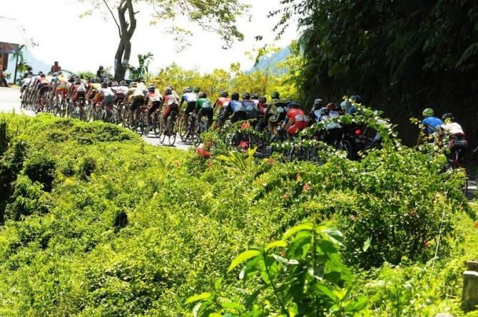 Lush forrest, but stifling conditions
