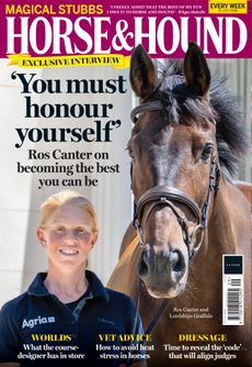 Cover of Horse 