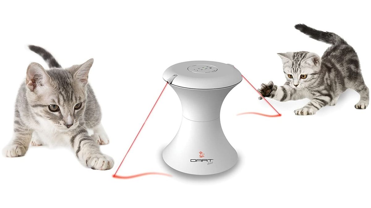 best toys to keep cats entertained