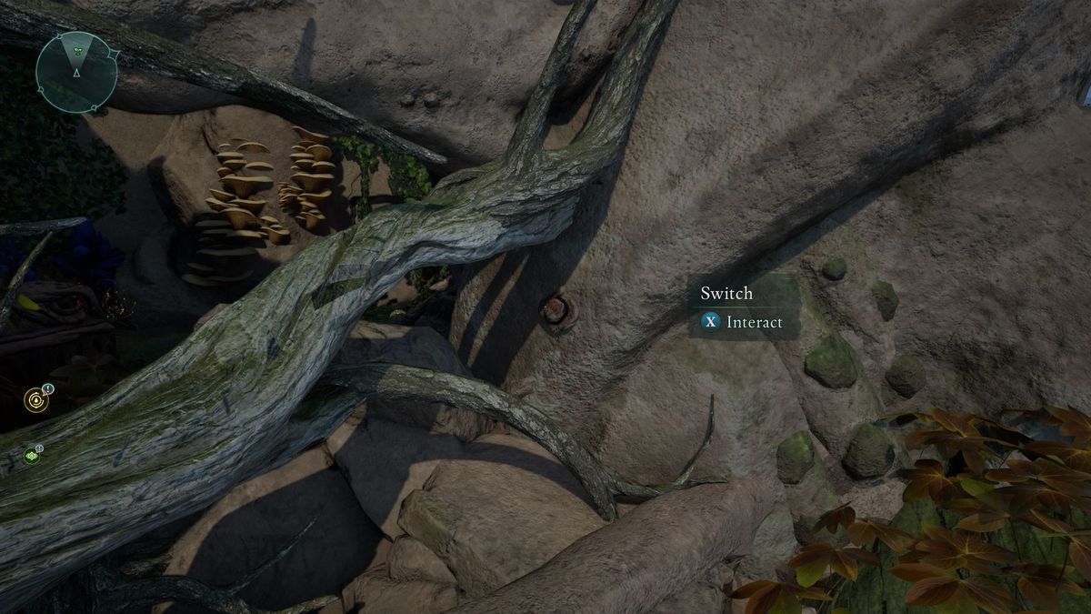 Tresaure map in Emerald Stair