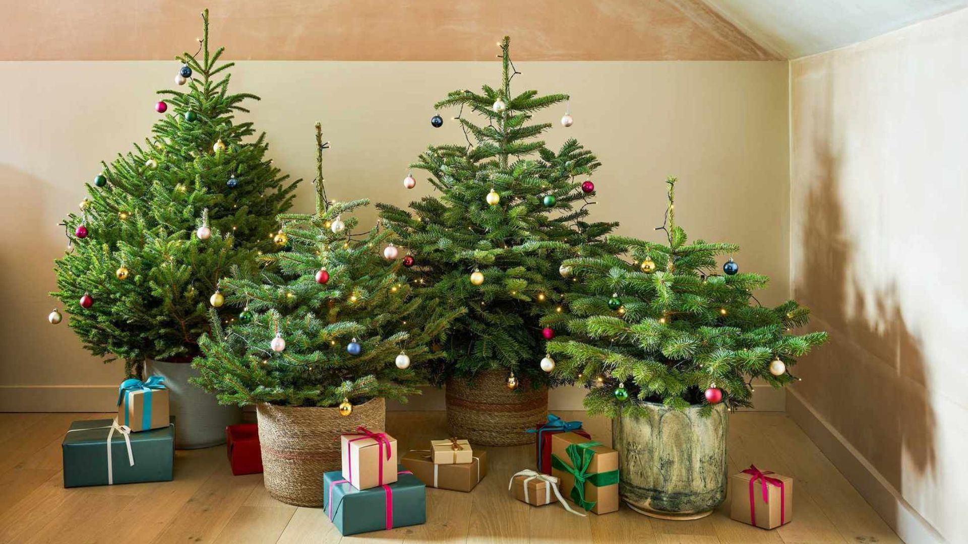 Make A Christmas Tree Last Longer How To Keep Your Christmas Tree