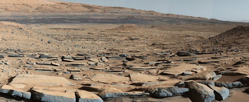 How Martian Microbes Could Survive in the Salty Puddles of the Red Planet
