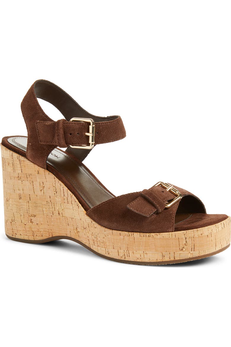 Nomi Ankle Strap Platform Wedge Sandal