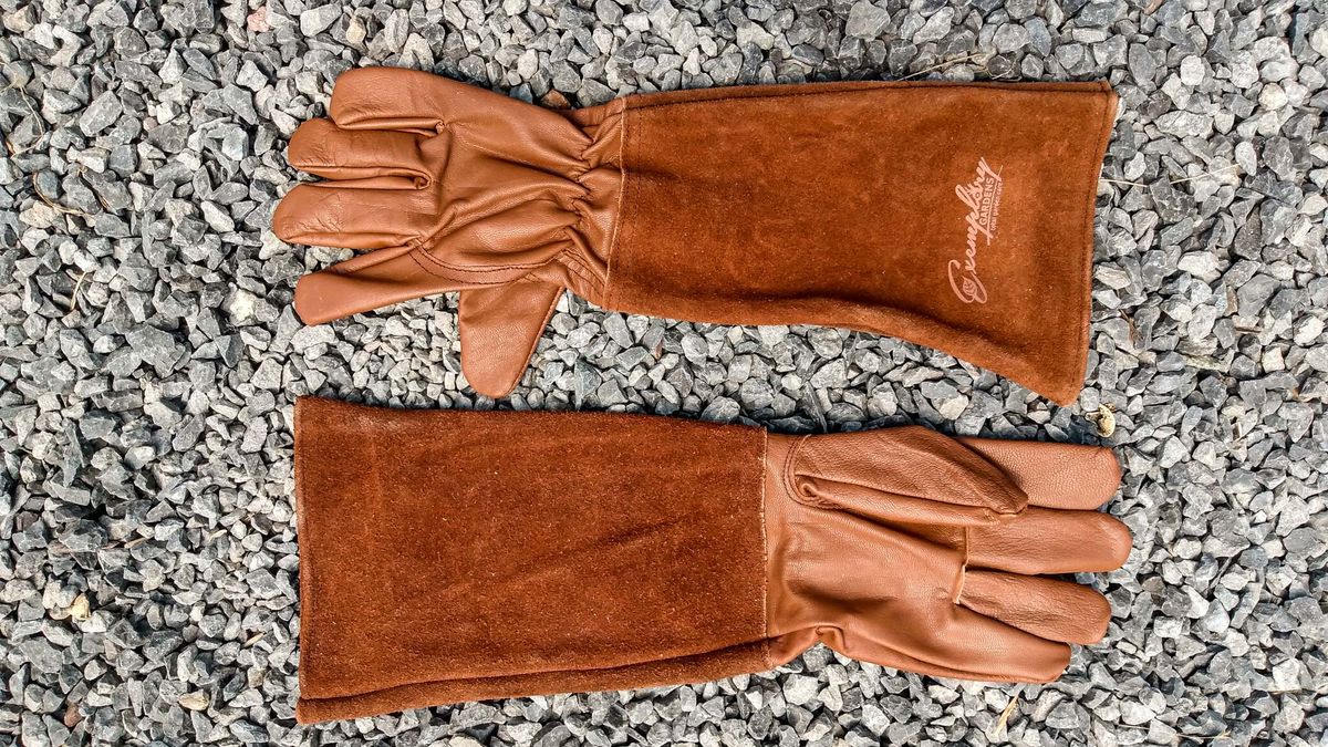 Rose Pruning Gloves