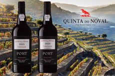 QuintadoNoval_Vintage2020_declaration-pack-shots_for-web.jpg