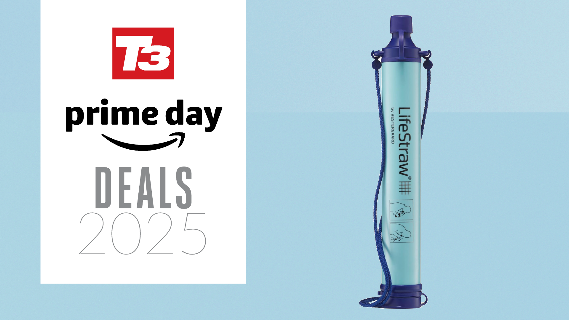 LifeStraw filter straw