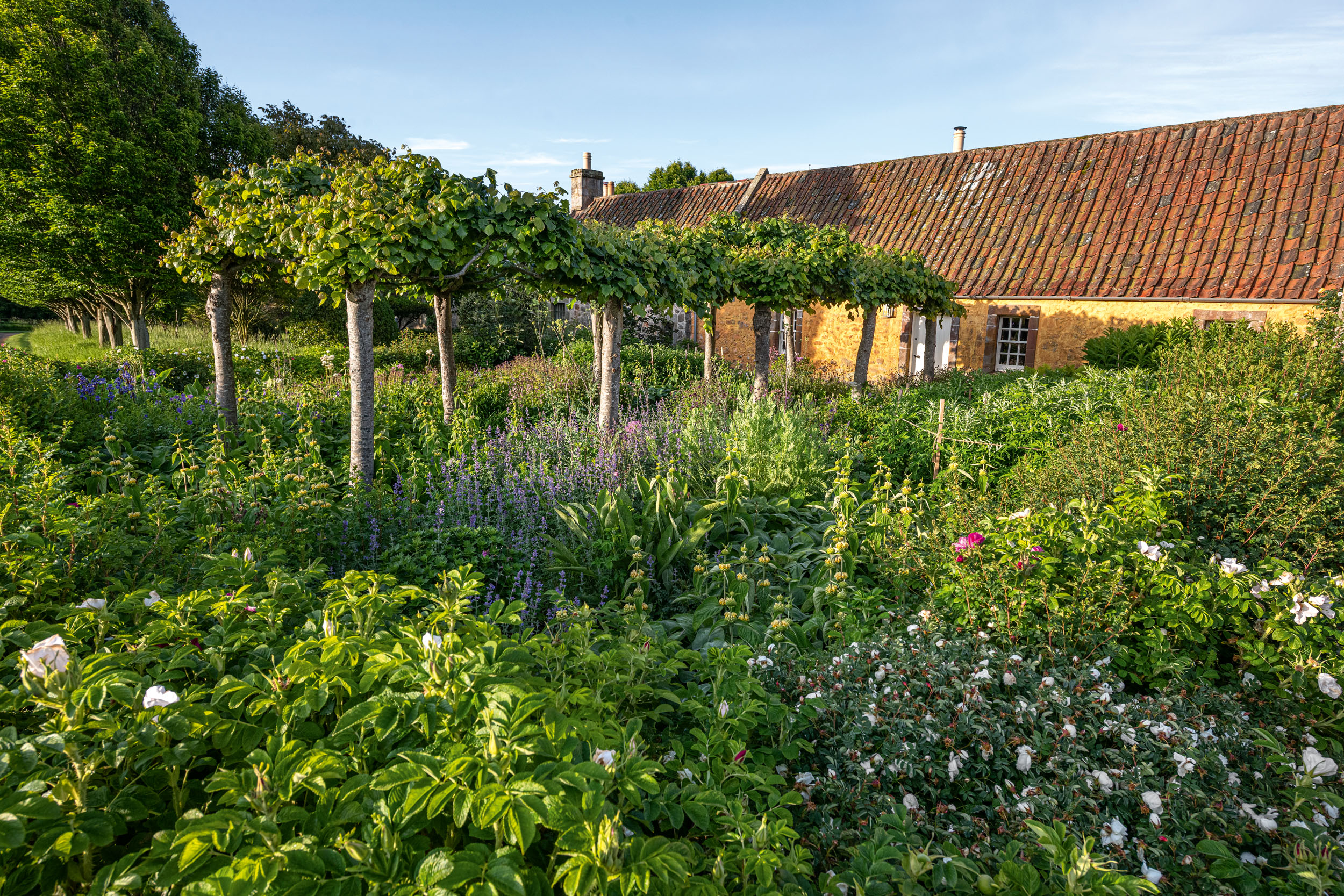 The garden at Broadwoodside in East Lothian