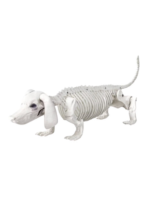 Dachshund Skeleton Halloween Decorative Prop 
