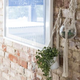 bricked wall and white wall and plant pot