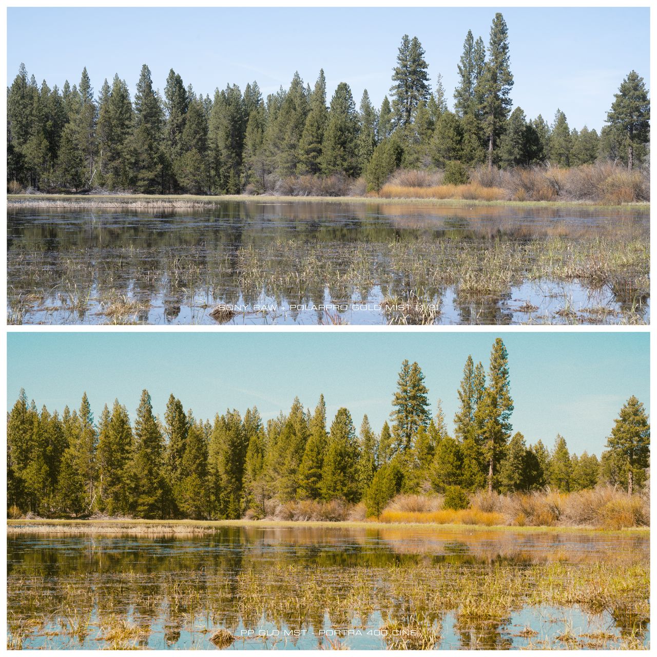A before and after picture shows a scene with and without the editing preset applied