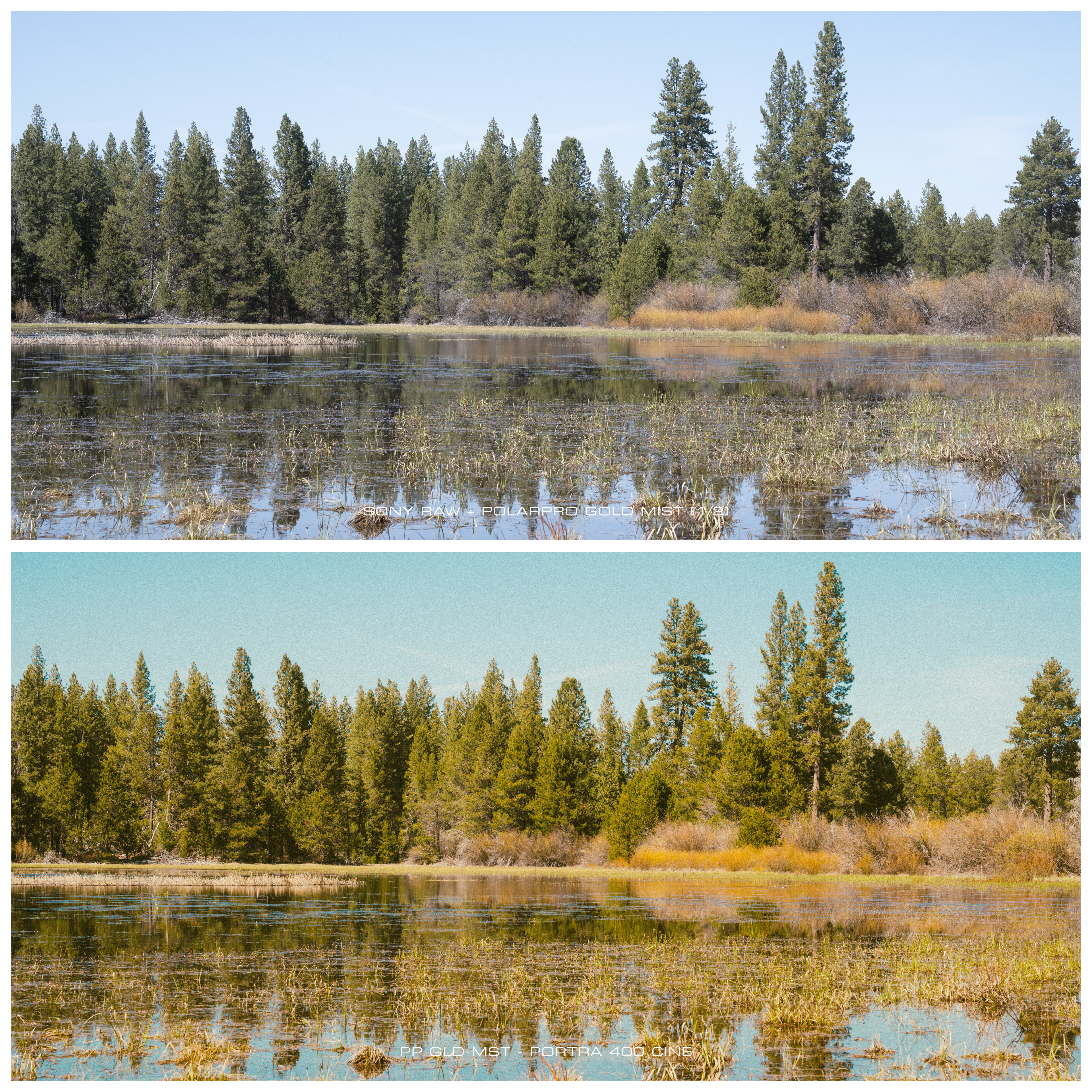 A before and after picture shows a scene with and without the editing preset applied