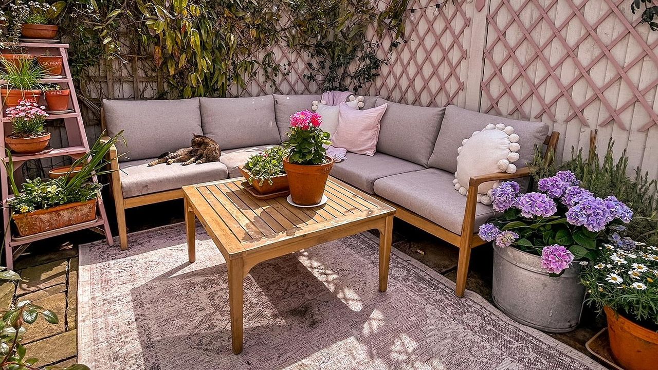 pink garden with outdoor sofa and trellis