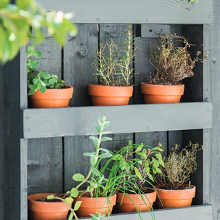 grey wooden stand with plants in pots