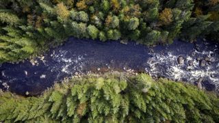 Drone's eye view over river surrounded by woods