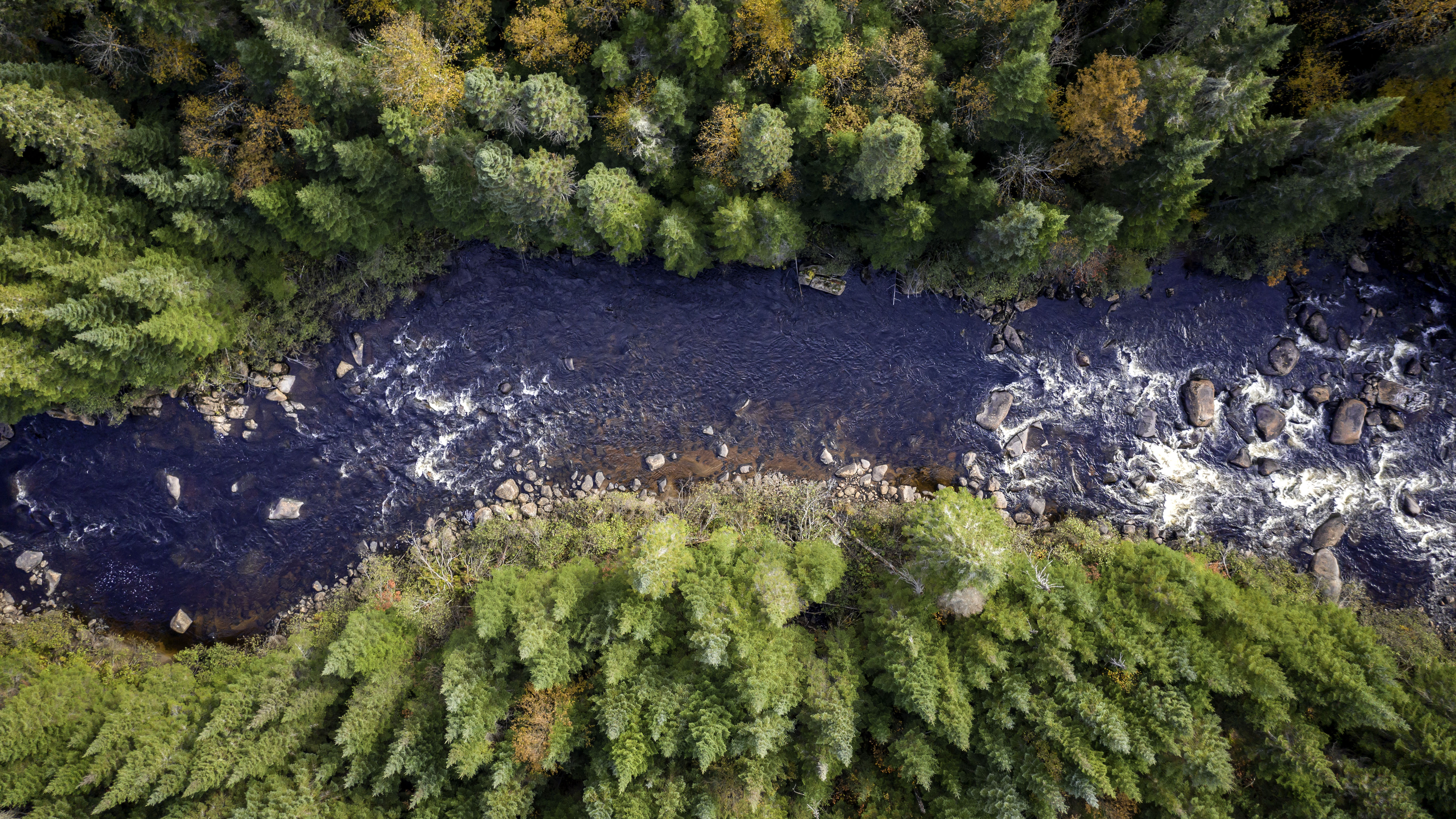 Viewpoint of a river drone surrounded by forest