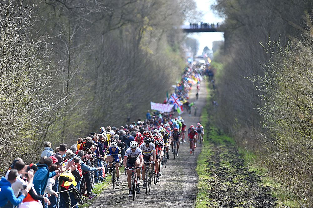 The peloton racing through the Arenberg Forest