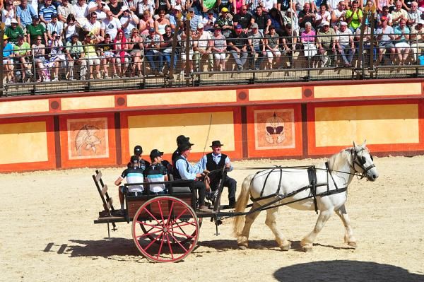 Leopard Trek arrives in a carriage