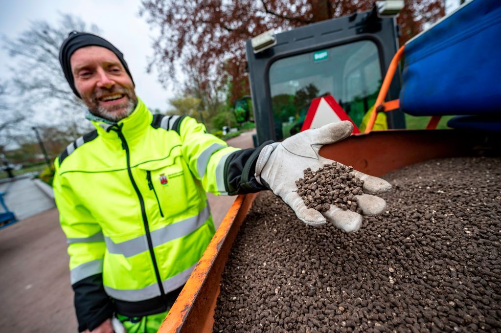 Chicken manure in Lund, Sweden