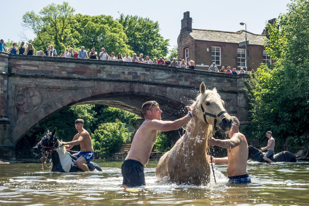 Washing Horses in the river on a hot summer&#039;s day at Appleby Horse Fair in Cumbria.