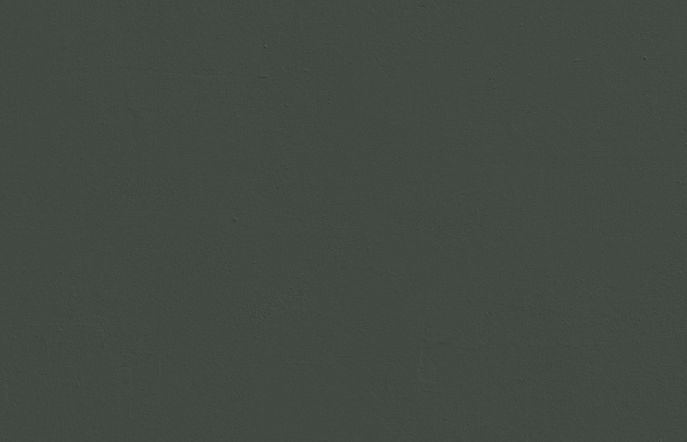 Green 06: Dark Holly Green Paint - Paint Sample