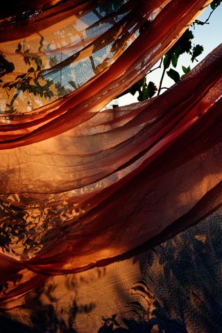 An artistic display of a rustic red scarf in chiffon material spread over tree branches