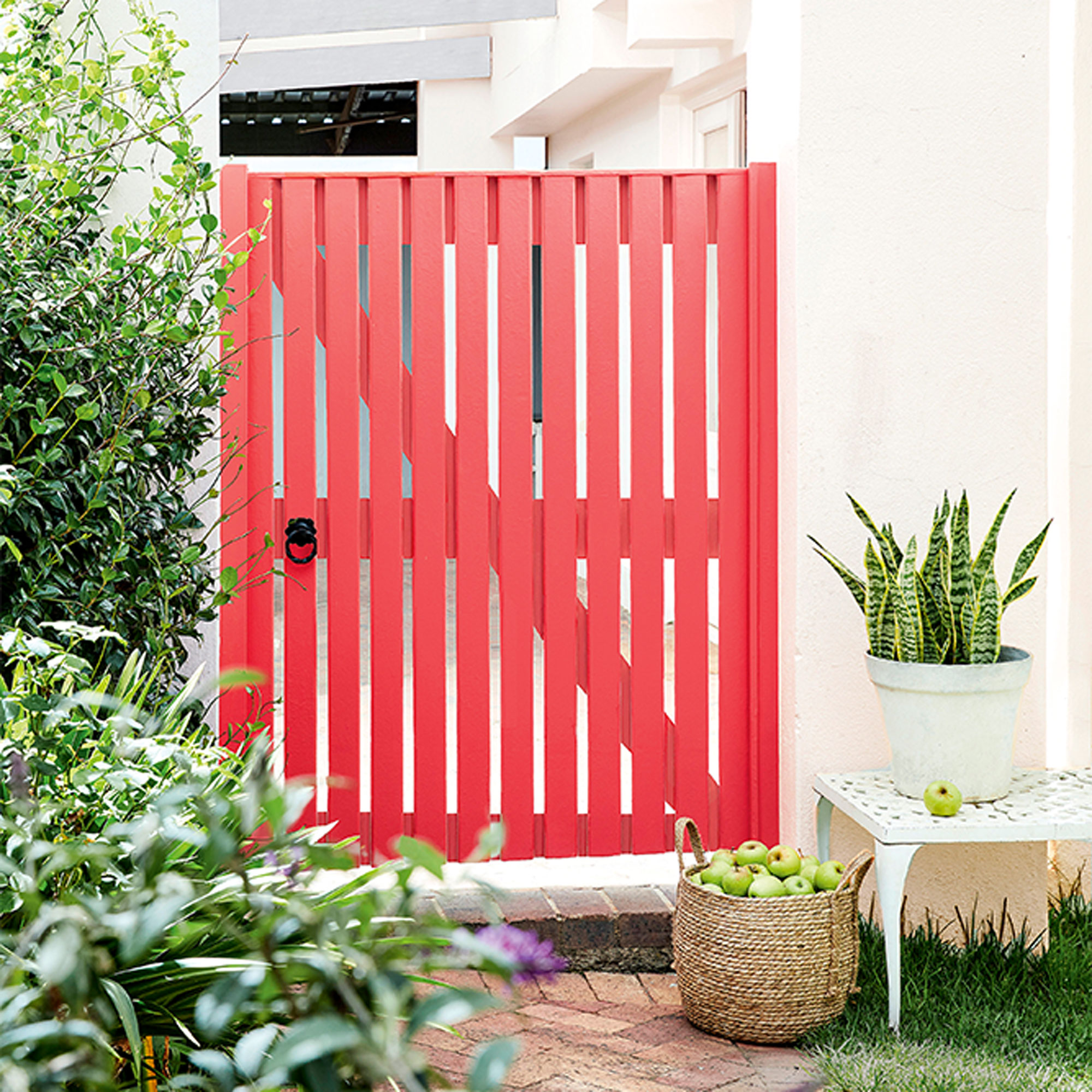 garden with garden gate