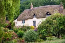 Pretty thatched cottage near Crediton, Devon, England. Summer (July) 2009