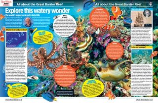 Image of different species of the Great Barrier Reef