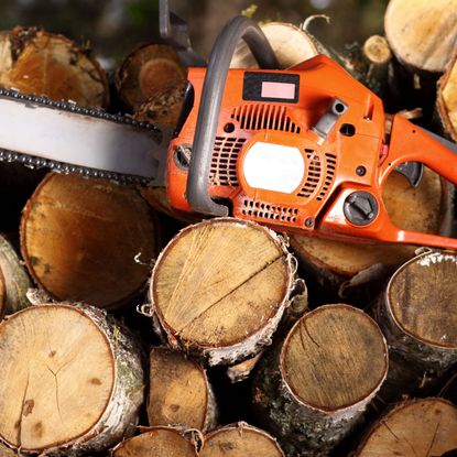 orange chainsaw positioned on pile of logs showing flat smooth edges