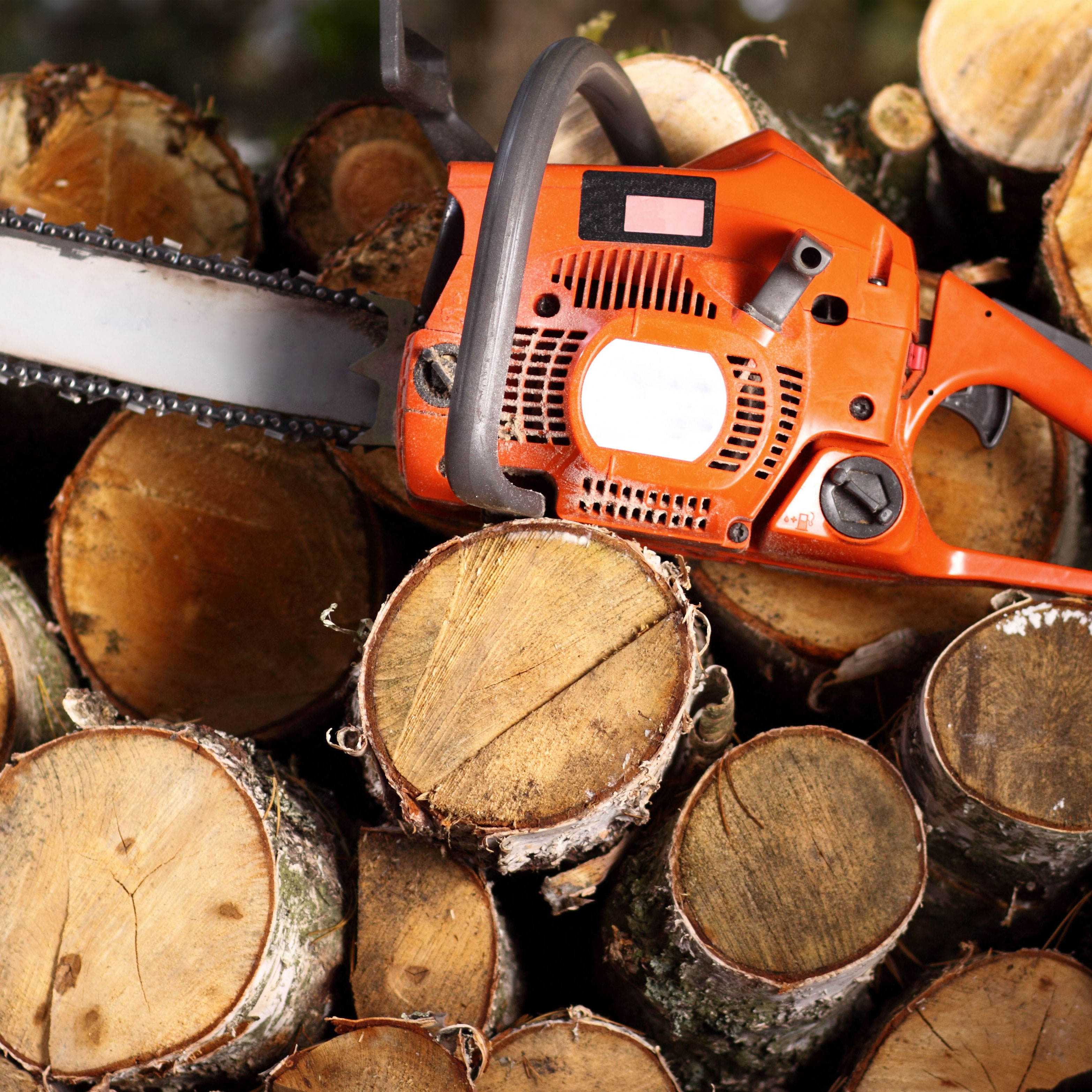 orange chainsaw positioned on pile of logs showing flat smooth edges