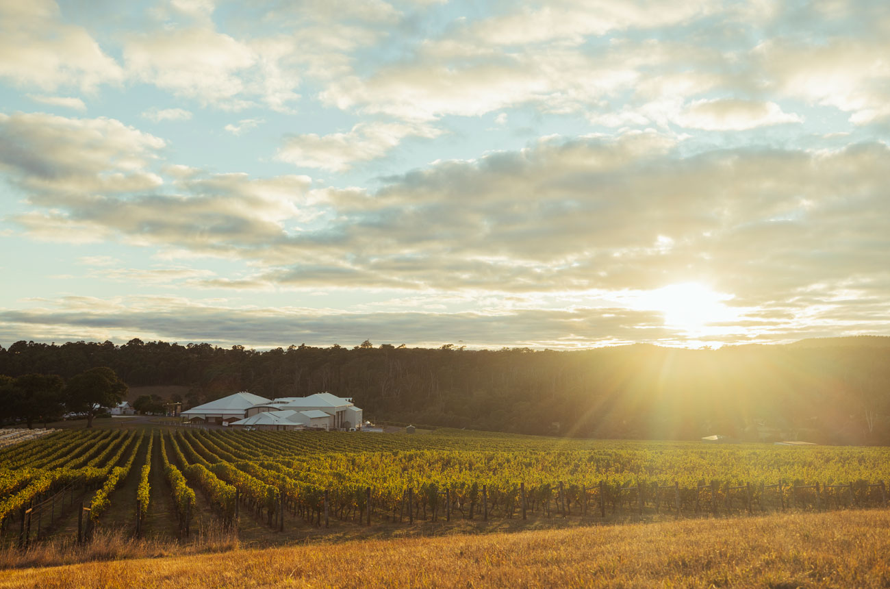 House of Arras Pipers River Cellar Door