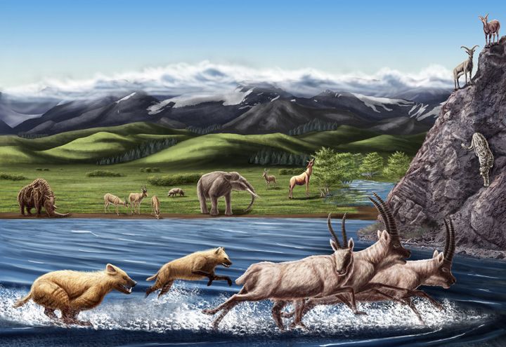 Artist&#039;s reconstruction of fauna from the Zanda Basin of Tibet dating to the Pliocene about 3 million to 5 million years ago.