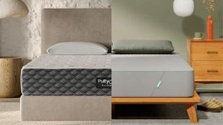 A split screen of the Puffy Cloud vs Siena Memory Foam Mattress