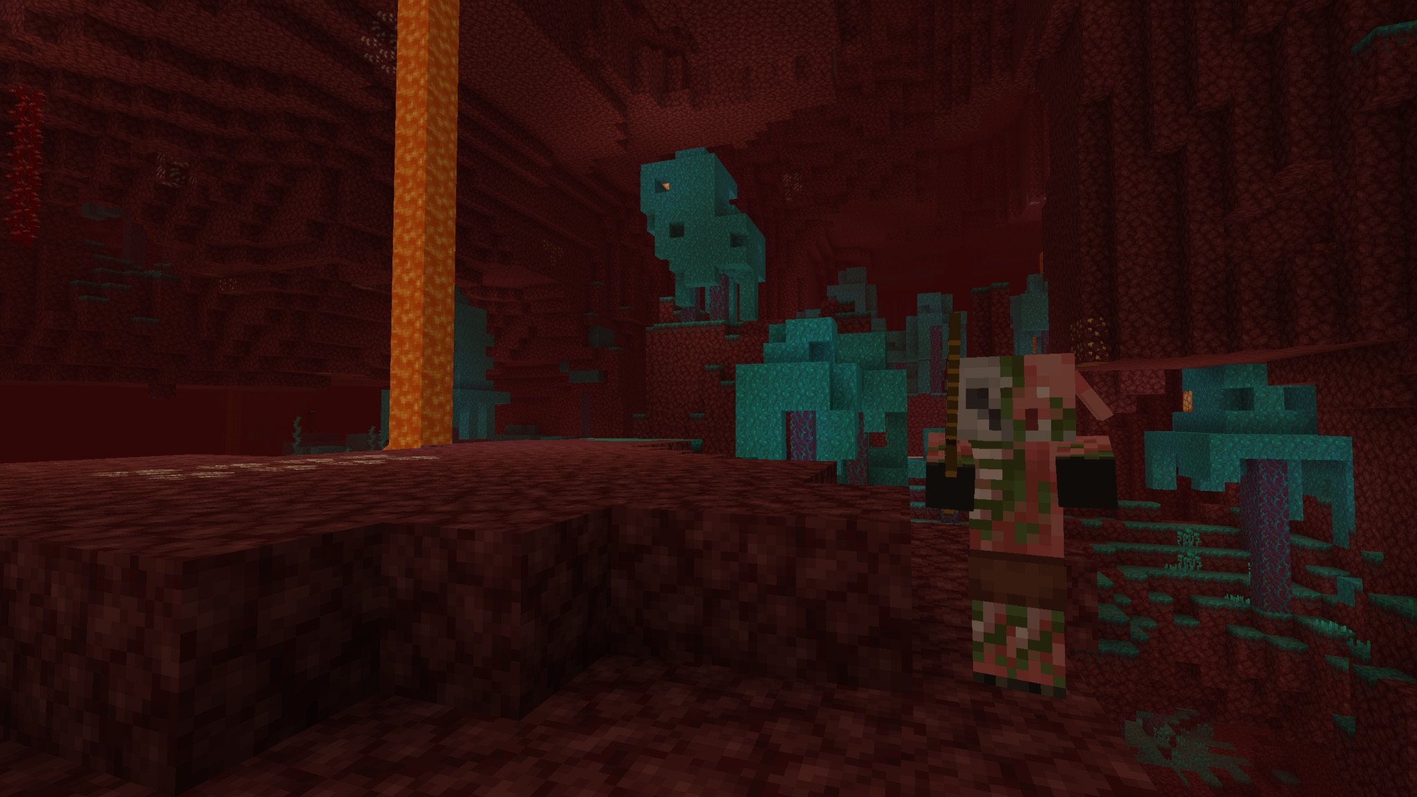 Visit the Nether!