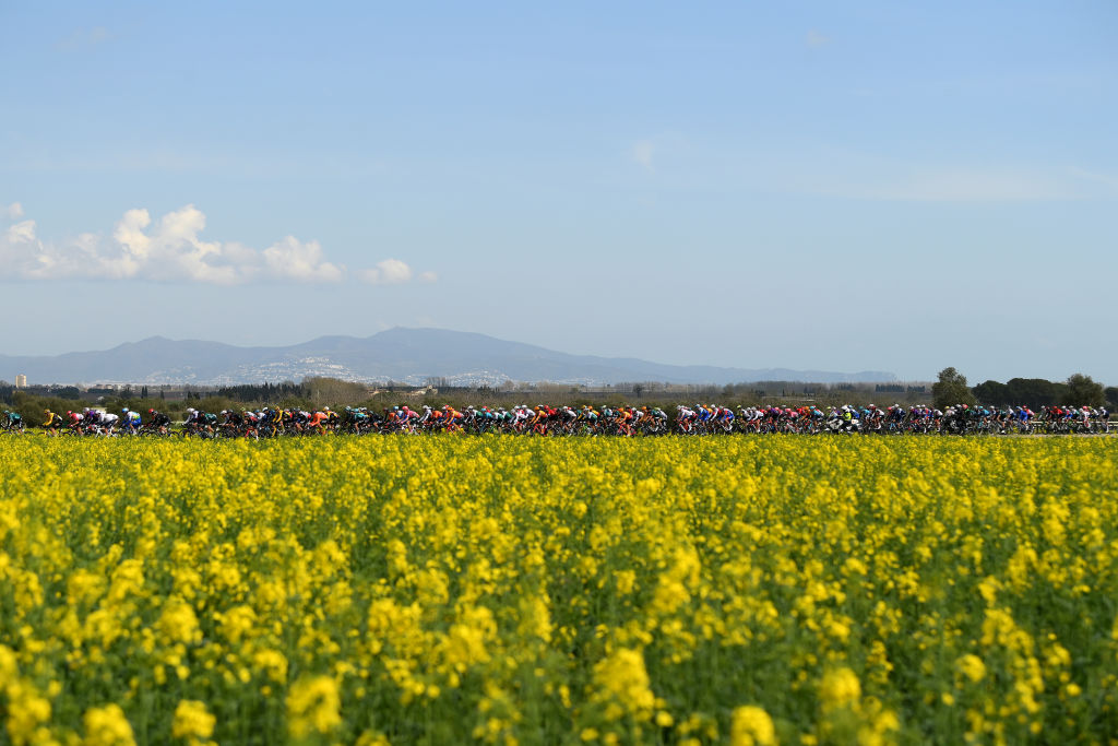PERPIGNAN FRANCE  MARCH 22 A general view of the peloton passing through flowery landscape during the 36th Settimana Internazionale Coppi e Bartali 2022  Stage 1 a 1646km stage from Riccione to Riccione  CoppieBartali  on March 22 2022 in Riccione Italy Photo by David RamosGetty Images
