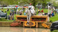 Kentucky Three-Day Event horse injuries: Ashlynn Meuchel&rsquo;s Emporium is being evaluated in the veterinary clinic