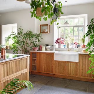 kitchen with wooden units and lots of plants