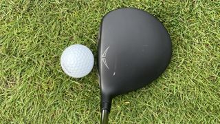 A club scratched by an alignment stick