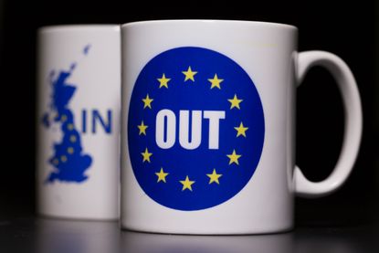 In or out logos on Brexit mugs