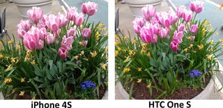 HTC One S vs iPhone 4S Flower
