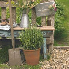 Garden spade next to potted rosemary plant and bench